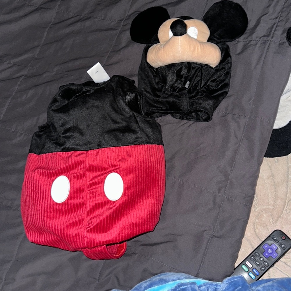 Disney Mickey infantry costume